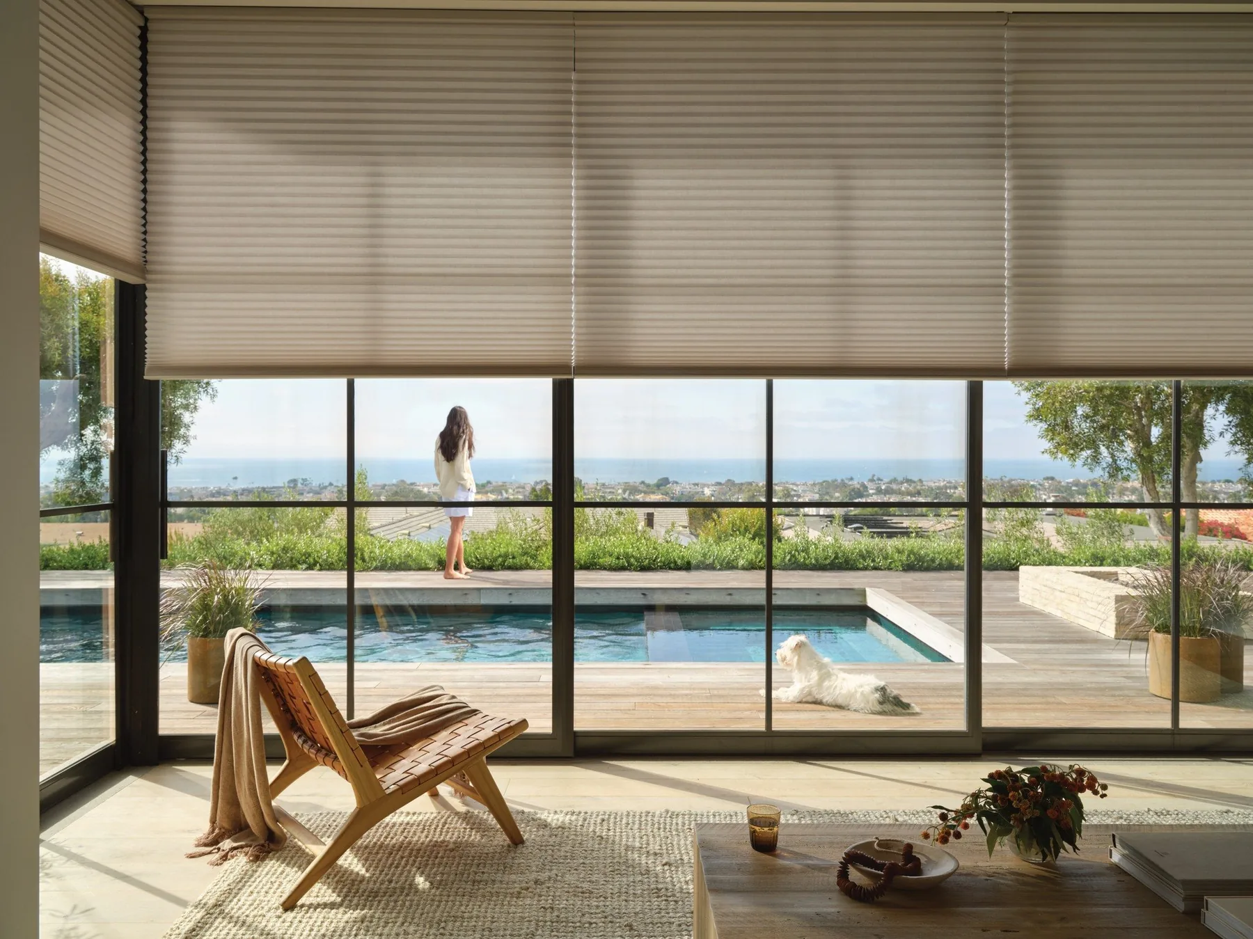 Honeycomb blinds - modern home