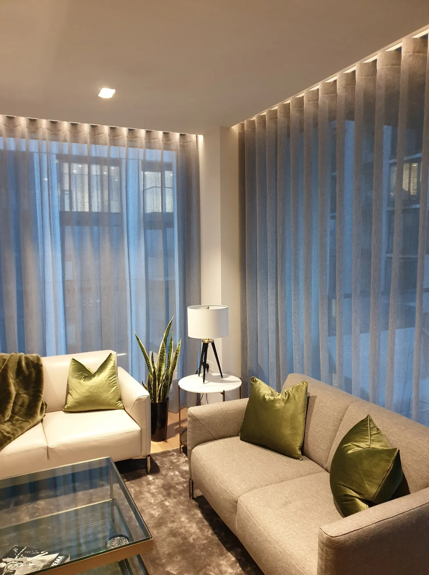 Curtains - dining area